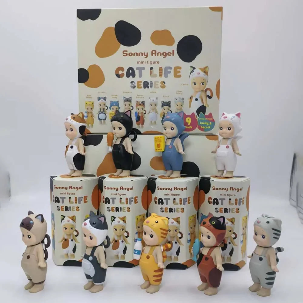 Kitty Surprise Box