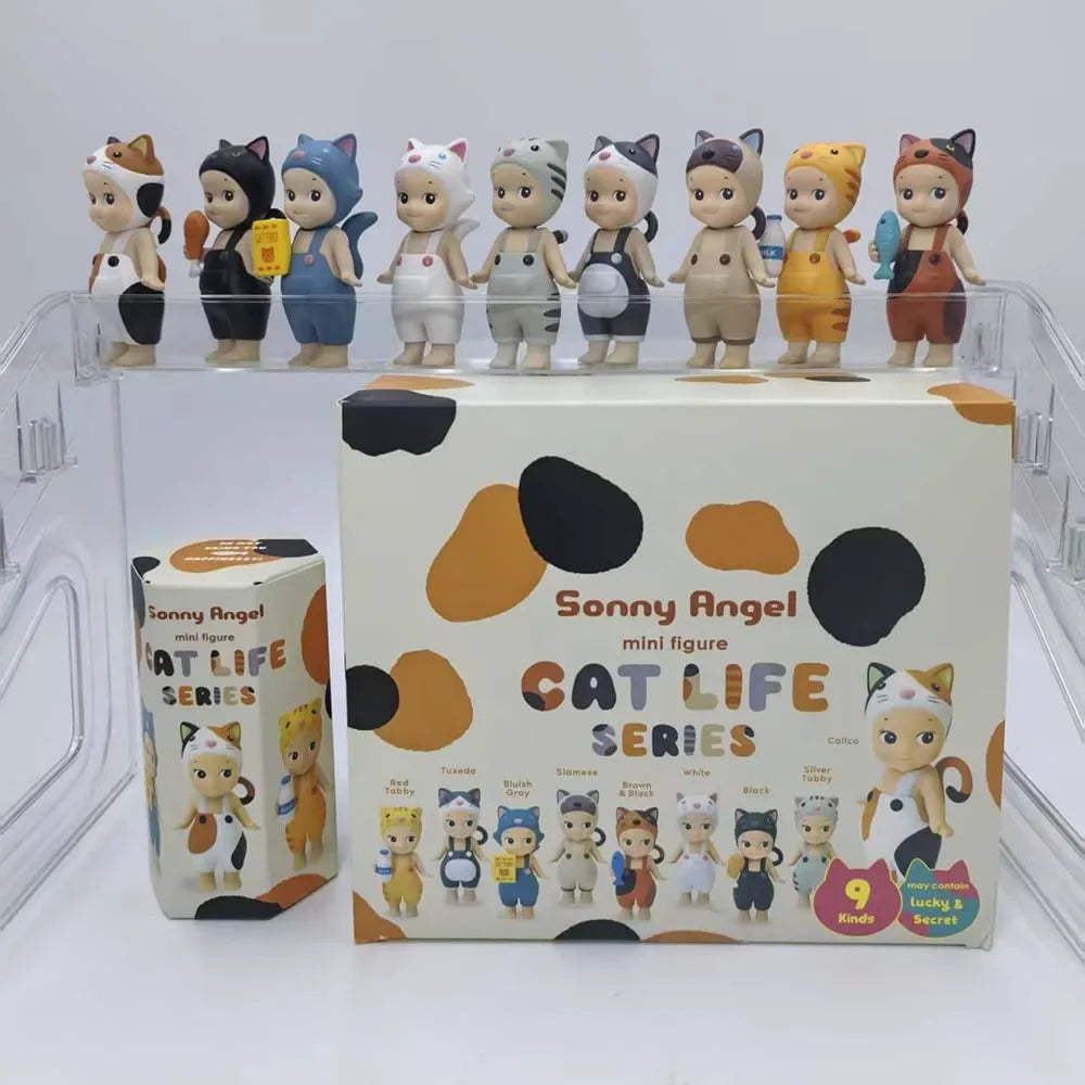 Kitty Surprise Box