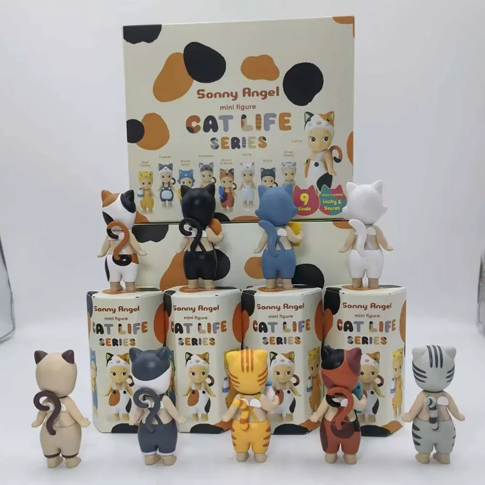 Kitty Surprise Box