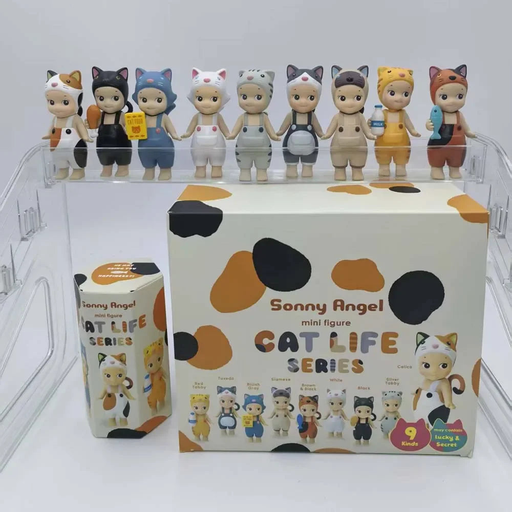 Kitty Surprise Box