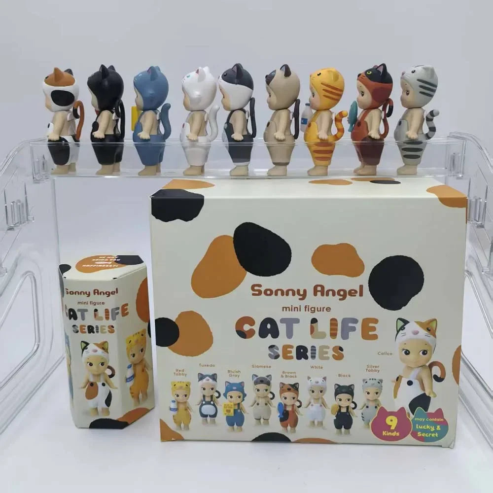 Kitty Surprise Box